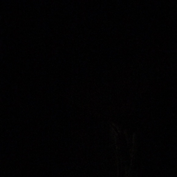 Meet your Posher, Jordan - Picture 1 of 1